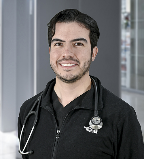 Dr. Erik Estrada Hernández