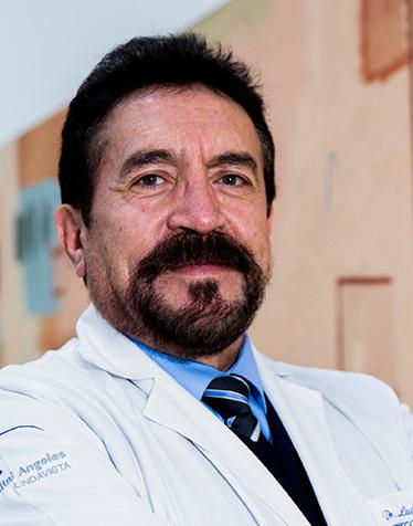 Dr. Luis Miguel Bedia Sánchez